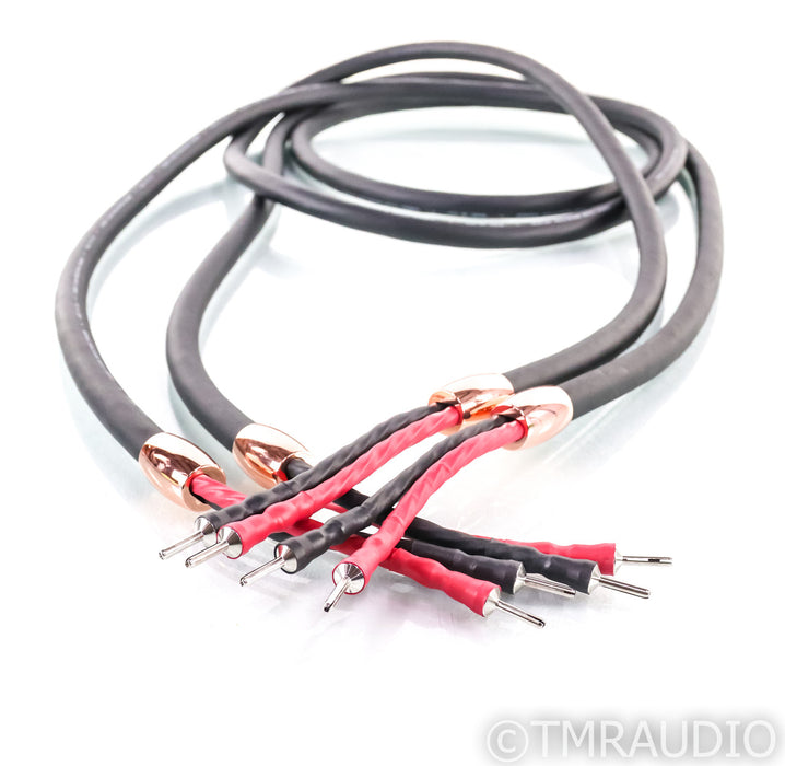 Cardas Clear Reflection Speaker Cables