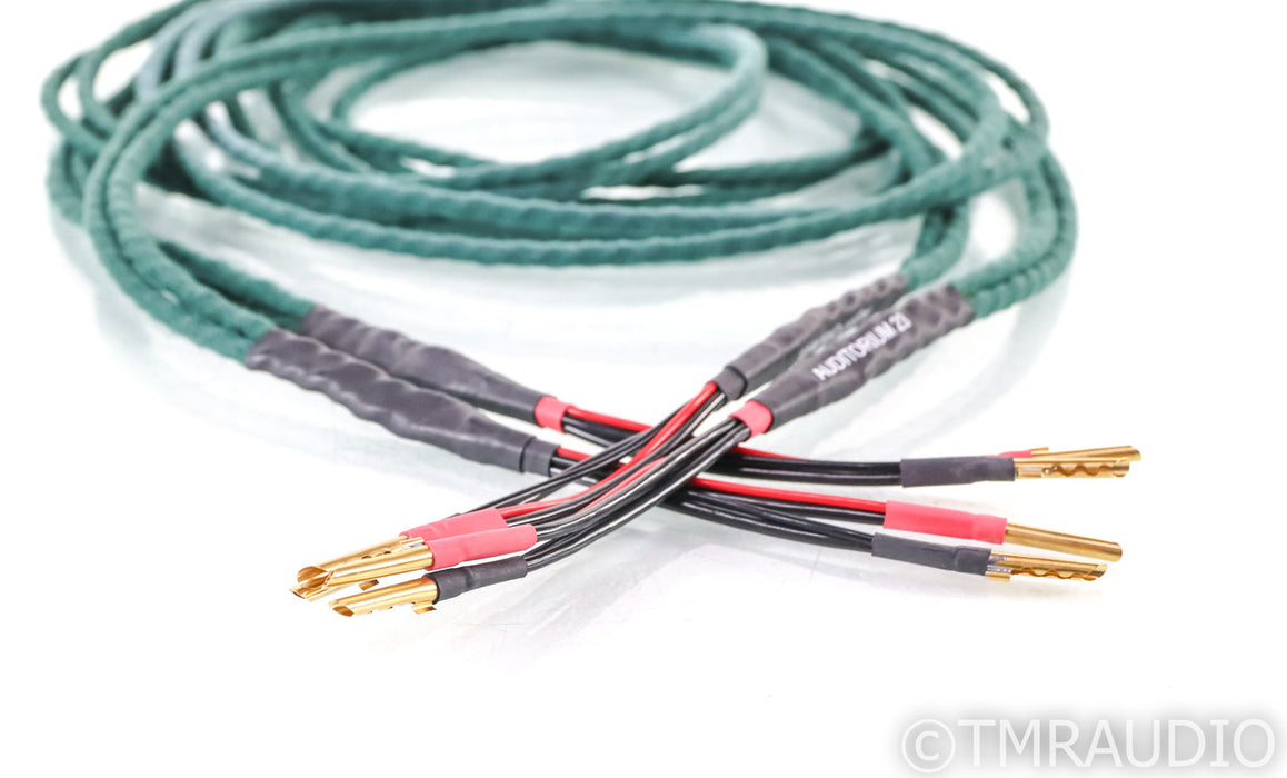 Auditorium 23 A23 Speaker Cables; 2.5m Pair; A-23