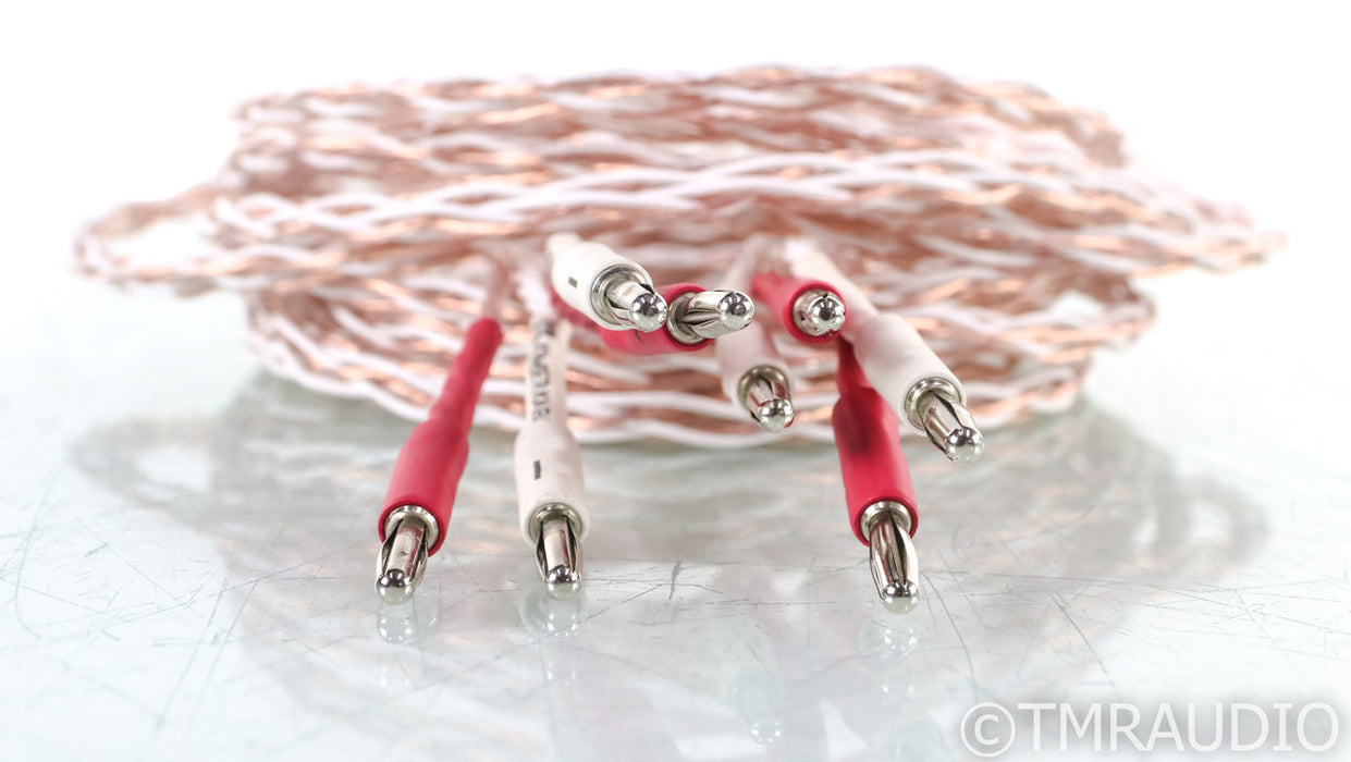 Kimber Kable 4TC Speaker Cables; 10ft Pair; 4-TC