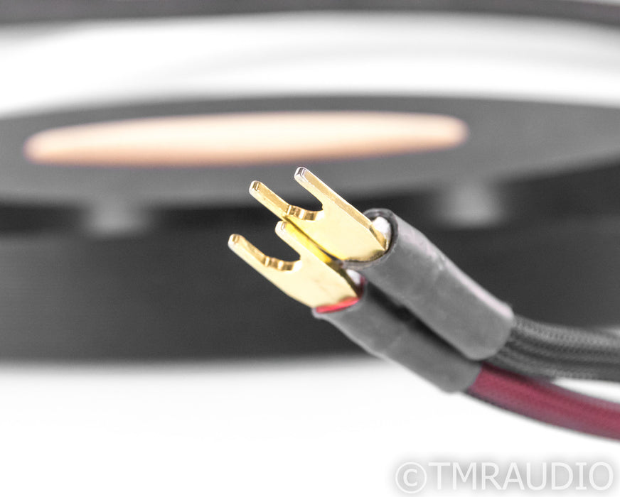 Transparent Audio MusicWave Ultra Bi-Wire Speaker Cables; 10ft Pair