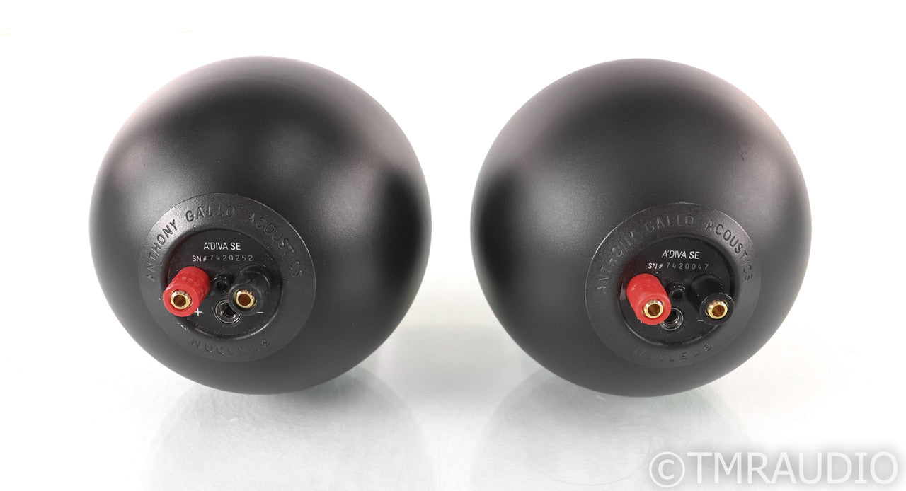 Anthony Gallo A'Diva SE Satellite Speakers