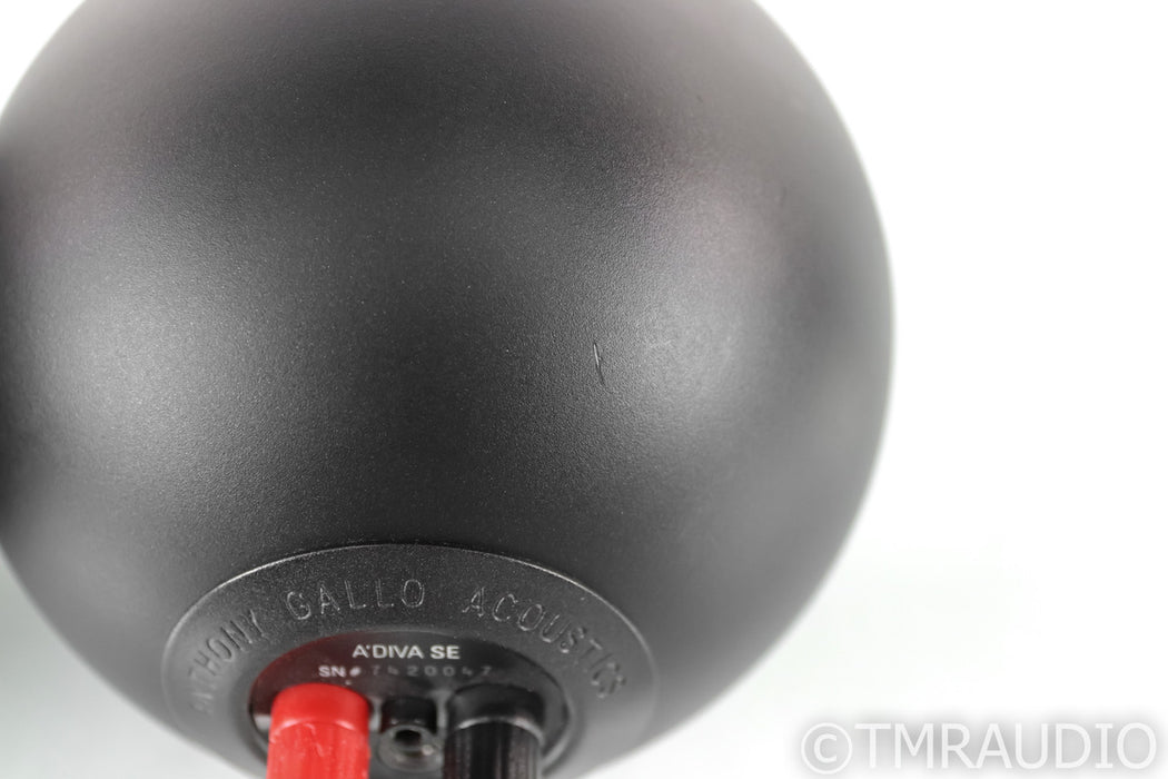 Anthony Gallo A'Diva SE Satellite Speakers