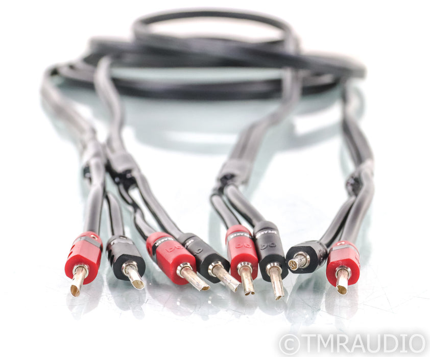Audioquest Rocket 11 Speaker Cables; 10ft Pair