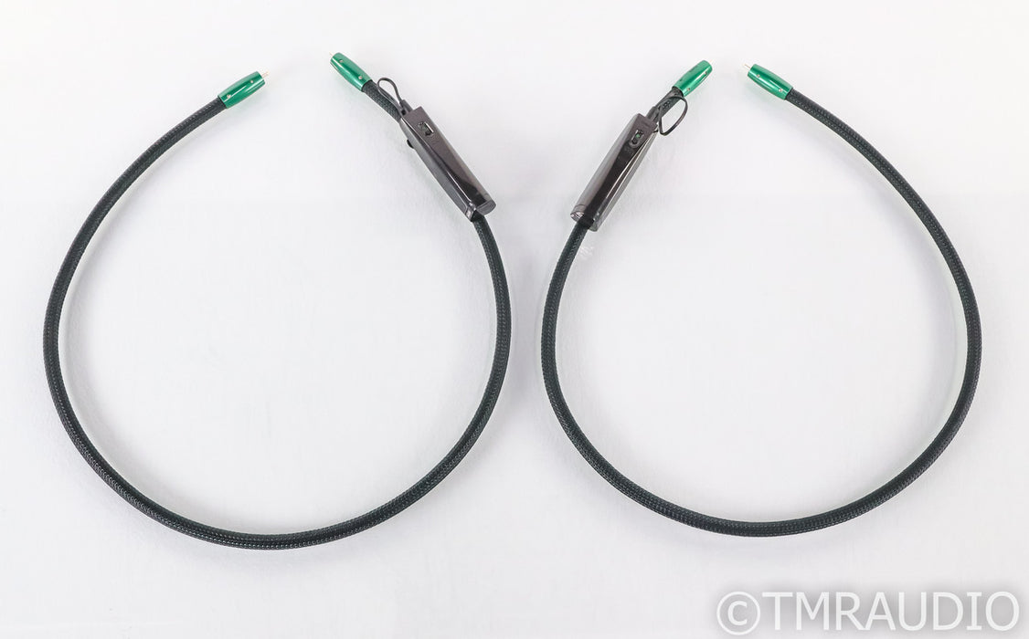 AudioQuest Earth RCA Cables; 1m Pair Interconnects; 72v DBS (Open Box w/ Warranty)