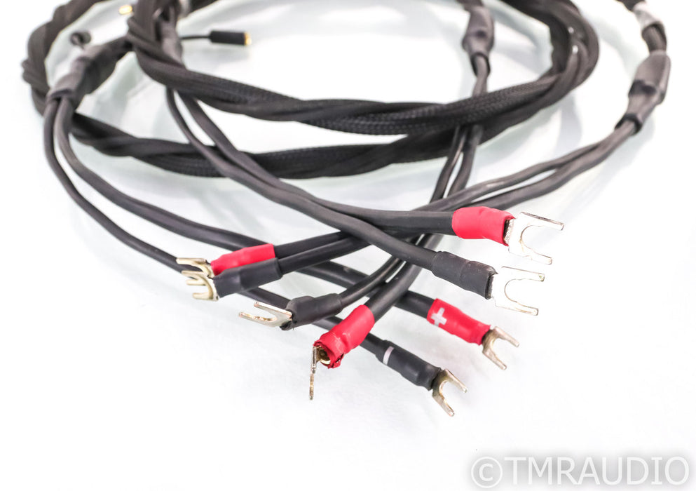 Synergistic Research Element Tungsten Speaker Cables; 8ft Pair; 30V MPC