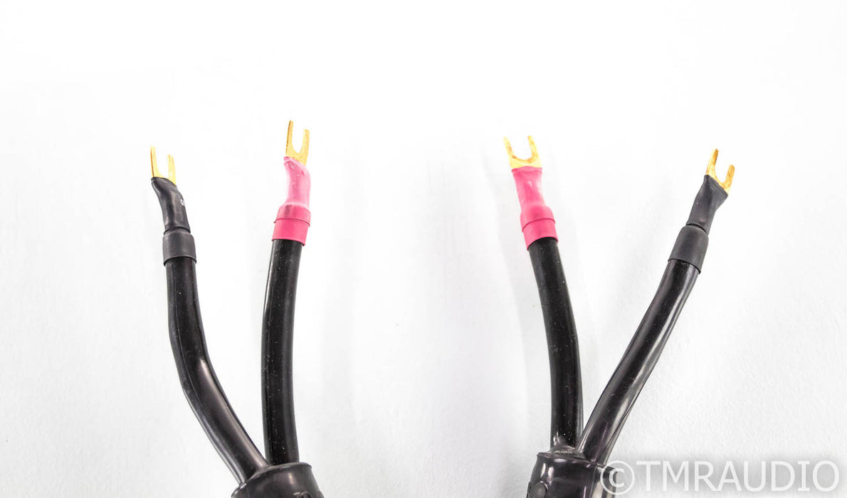 Tara Labs Space & Time Quantum III Speaker Cables; 10ft Pair; QmIII