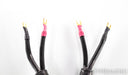 Tara Labs Space & Time Quantum III Speaker Cables; 10ft Pair; QmIII