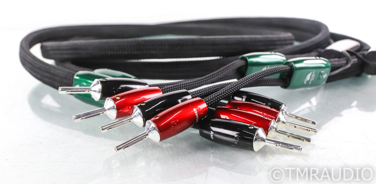 AudioQuest Robin Hood Zero Speaker Cables; 2.5m Pair; 72v DBS; 2.5m Pair; 72v DBS