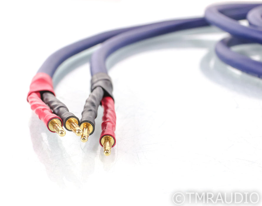 Straight Wire Octave II Bi-wire Speaker Cables; 10ft Pair