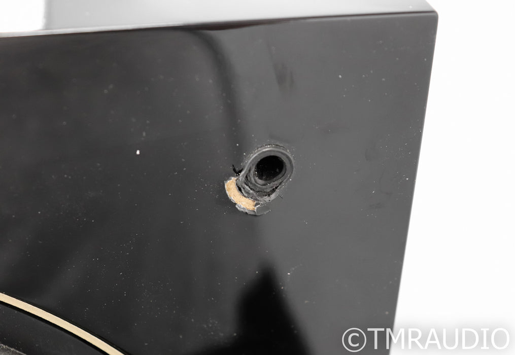 REL Acoustics S/5 SHO 12" Powered Subwoofer; Piano Black; S5SHO; Piano Black; S5SHO