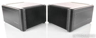 PS Audio BHK Signature 300 Mono Power Amplifier