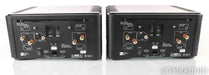 PS Audio BHK Signature 300 Mono Power Amplifier