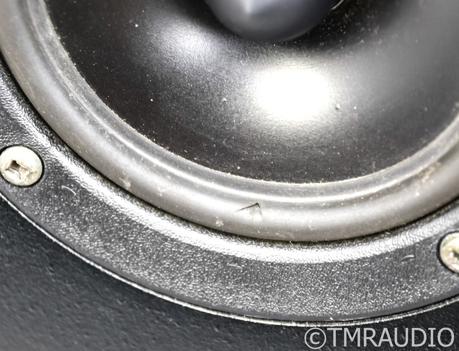 Theil CS3.6 Floorstanding Speakers