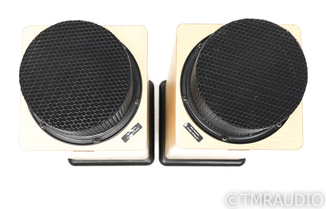 Ohm Walsh 2000 Tall Omnidirectional Speakers