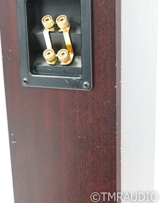 Totem Sttaf Floorstanding Speakers