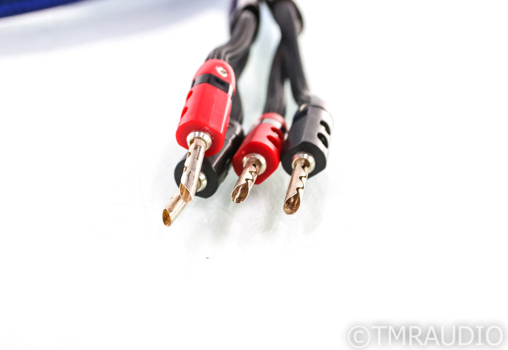 AudioQuest Gibraltar Bi-Wire Speaker Cables; 8ft Pair; 72V DBS