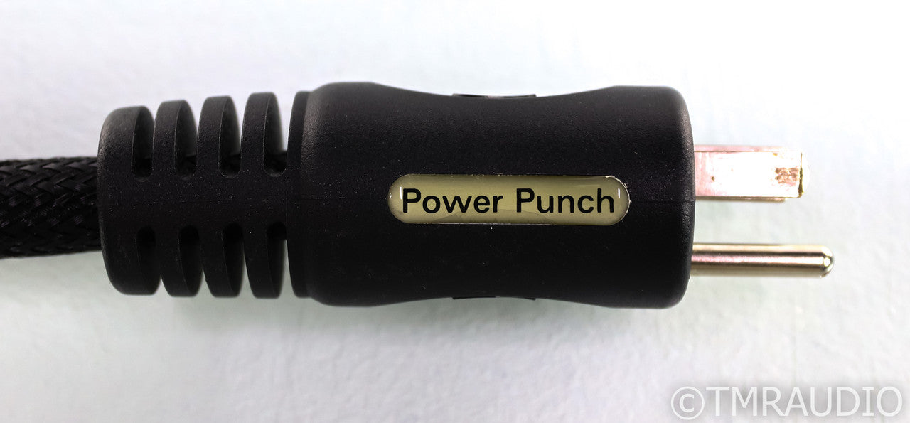 PS Audio xStream Power Punch Power Cable; 1m AC Cord