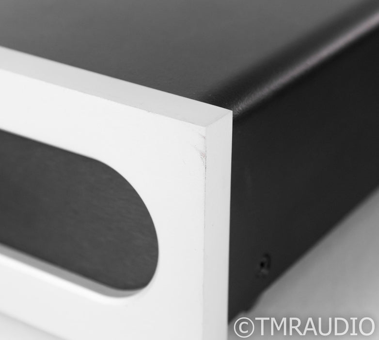 Bel Canto M300 Mono Power Amplifier
