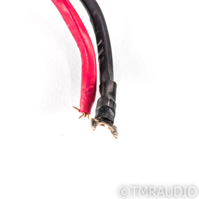AudioQuest AudioTruth Forest Speaker Cables; 7.5ft Pair (Missing one termination)