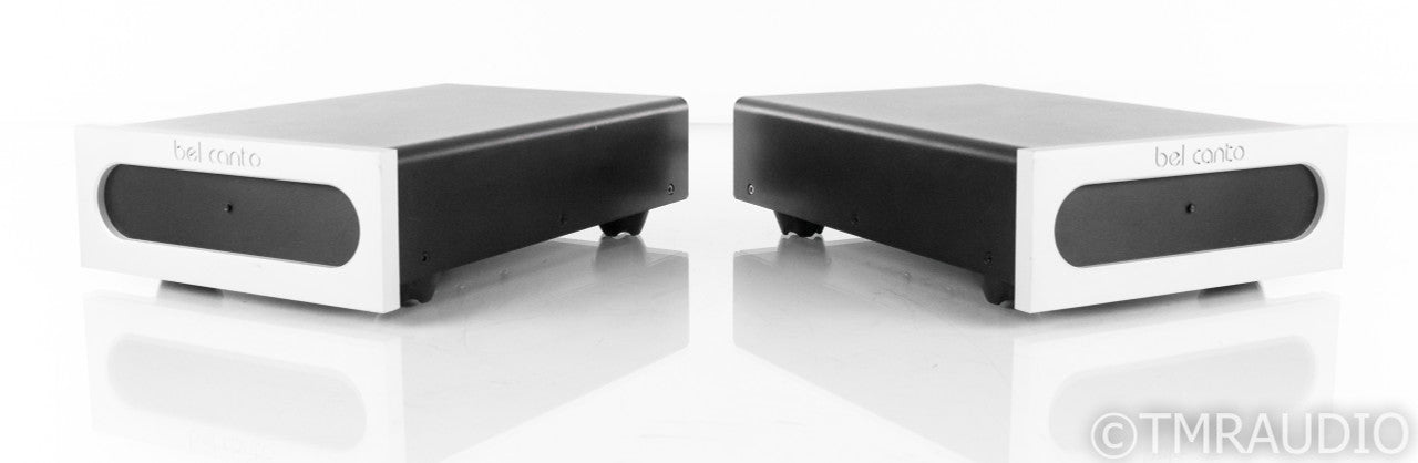 Bel Canto M300 Mono Power Amplifier