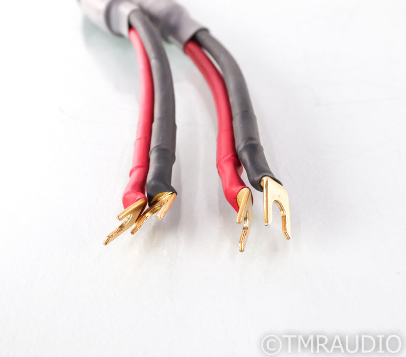 Acoustic Zen Absolute Zero Crystal Silver Speaker Cables; 8ft Pair