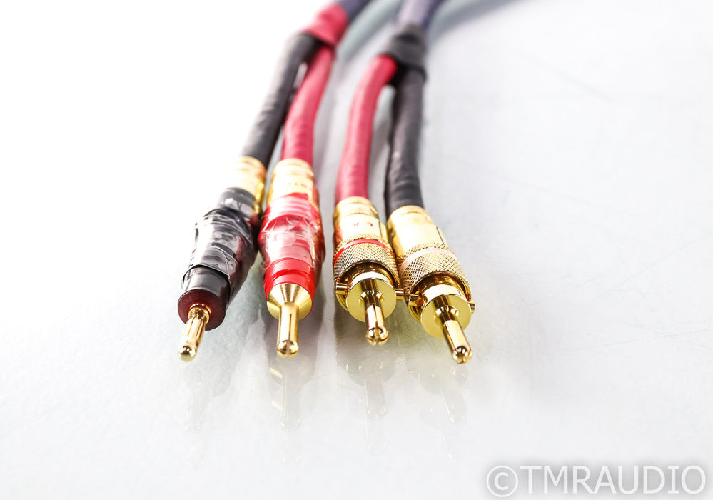 LAT International SS-1000 D Bi-Wire Speaker Cables; 12ft Pair