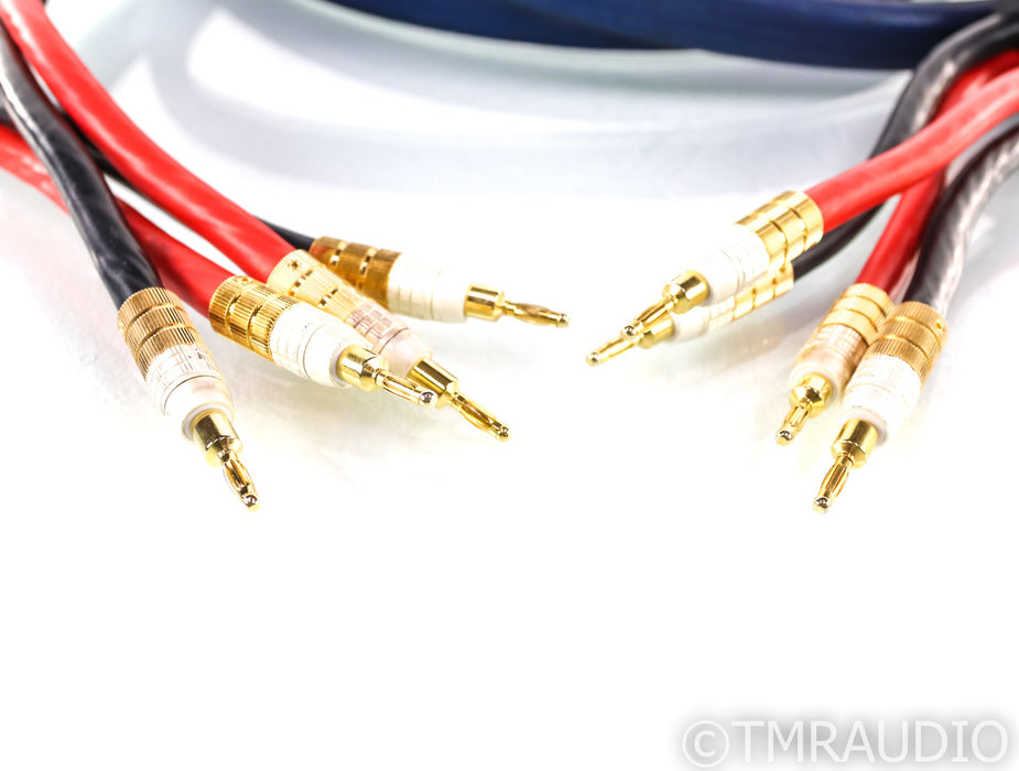 PS Audio xStream Statement Speaker Cables; 3m Pair; Spade & Banana Terminations