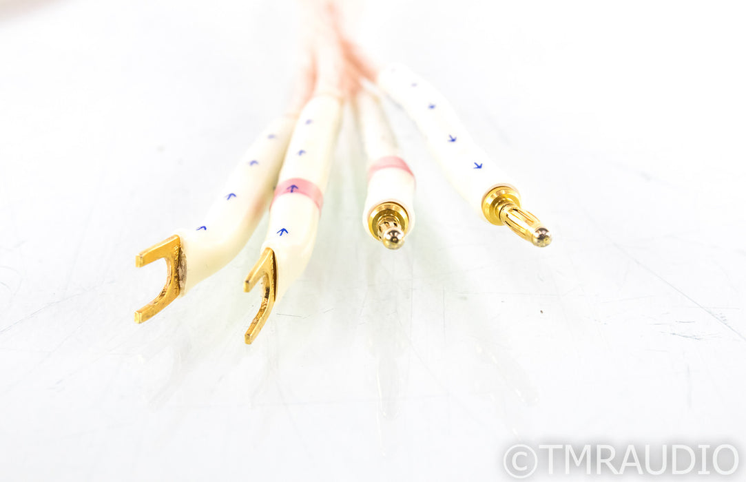 Tara Labs RSC Reference Generation 2 Bi-Wire Speaker Cables; 2.5m Pair