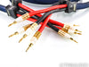 PS Audio xStream Statement Speaker Cables; 3m Pair; Spade & Banana Terminations