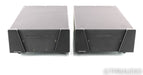 Wyred 4 Sound SX-1000 Ice Cube Mono Power Amplifier