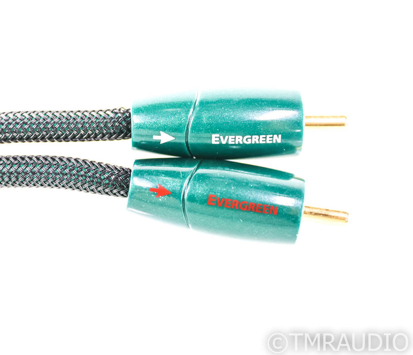 AudioQuest Evergreen RCA Cables; .6m Pair Interconnects