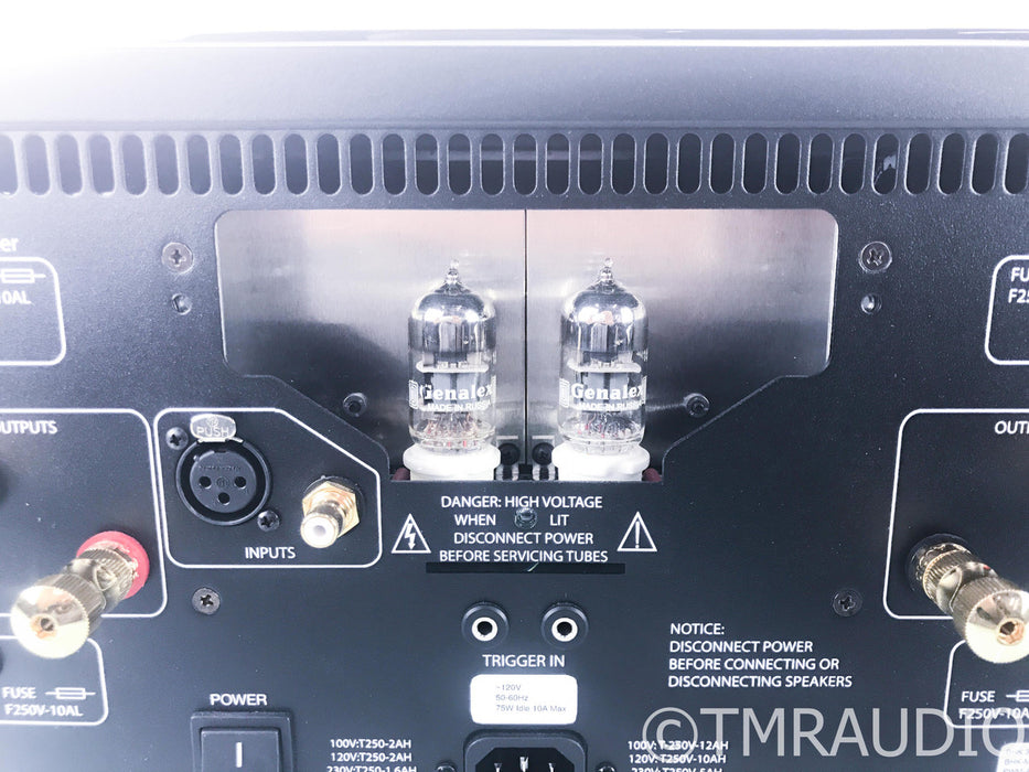 PS Audio BHK-300 Mono Power Amplifier