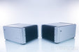 PS Audio BHK-300 Mono Power Amplifier