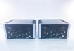 PS Audio BHK-300 Mono Power Amplifier