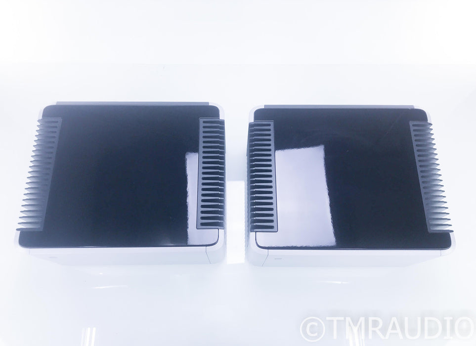 PS Audio BHK-300 Mono Power Amplifier