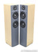 Troels Gravesen CNO-25-mkII Floorstanding Speakers