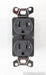 AudioQuest NRG Edison 20 AC Power Outlet; 20A