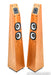 Avalon Acoustics Symbol Floorstanding Speakers
