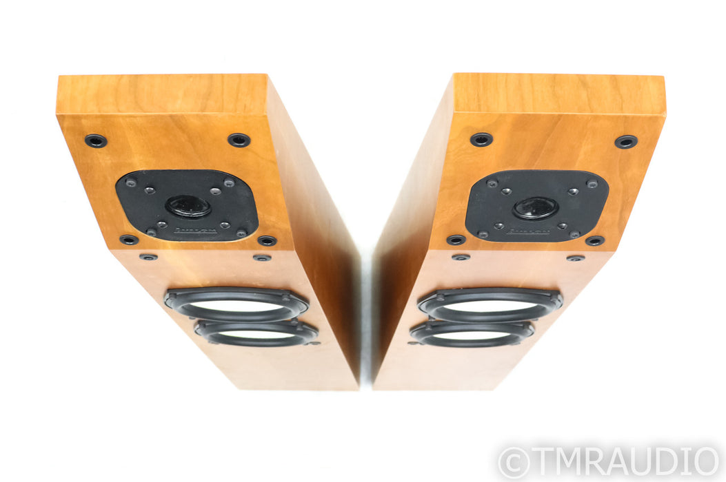 Avalon Acoustics Symbol Floorstanding Speakers