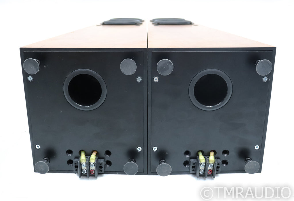 Avalon Acoustics Symbol Floorstanding Speakers