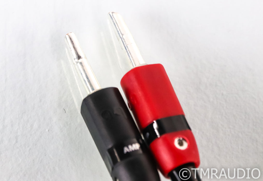 AudioQuest Rocket 33 Speaker Cables; 8ft Pair (Open Box / Warranty)