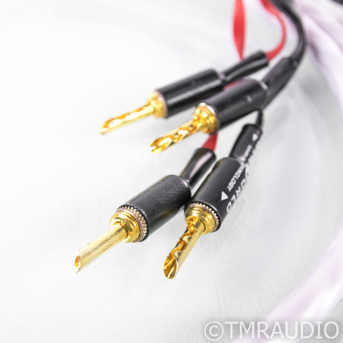 Wireworld Solstice 7 Biwire Speaker Cables; 2m Pair