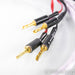 Wireworld Solstice 7 Biwire Speaker Cables; 2m Pair