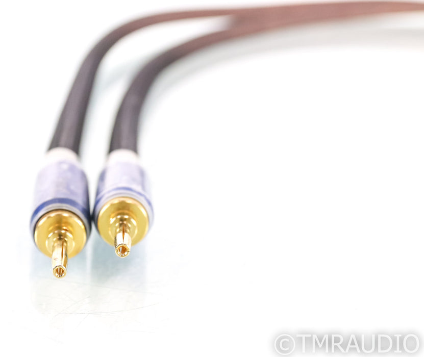 Tara Labs RSC Air 2 Single Speaker Cable