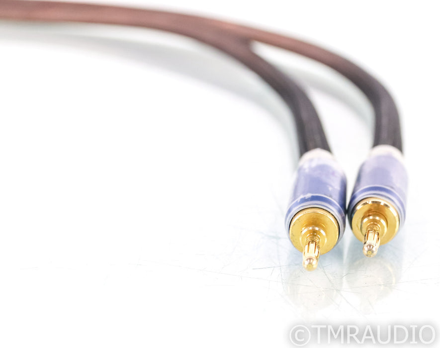 Tara Labs RSC Air 2 Single Speaker Cable