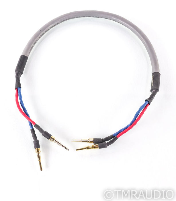 Tara Labs RSC Prime 500 Single Speaker Cable; 34" Single Channel