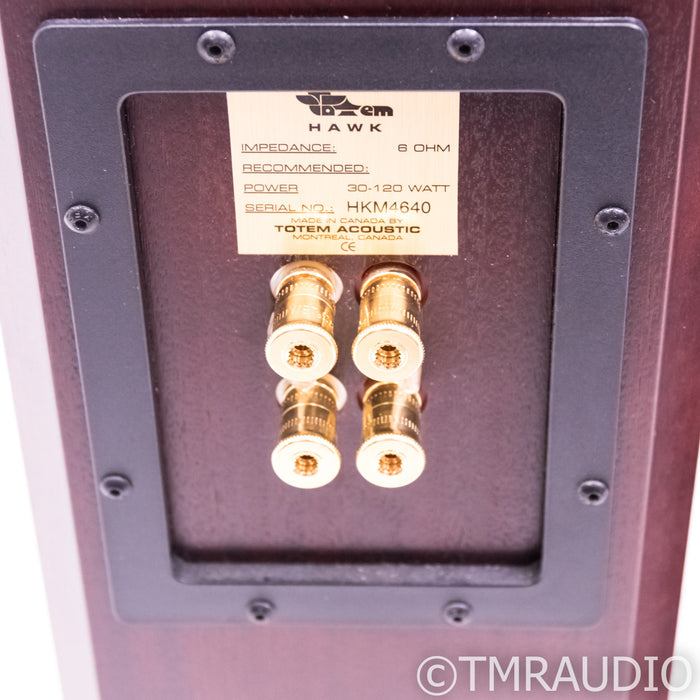 Totem Hawk Floorstanding Speakers