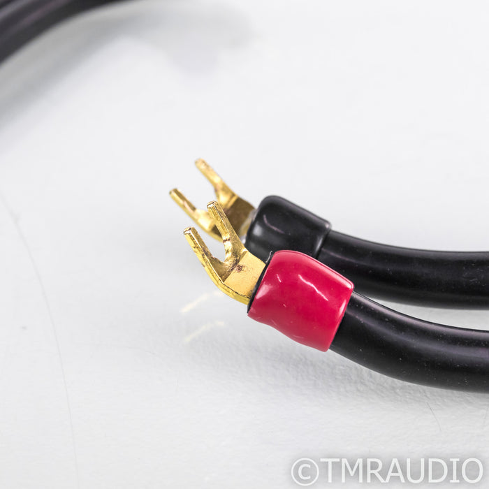 Transparent MusicWave Ultra Speaker Cables; 8ft Pair
