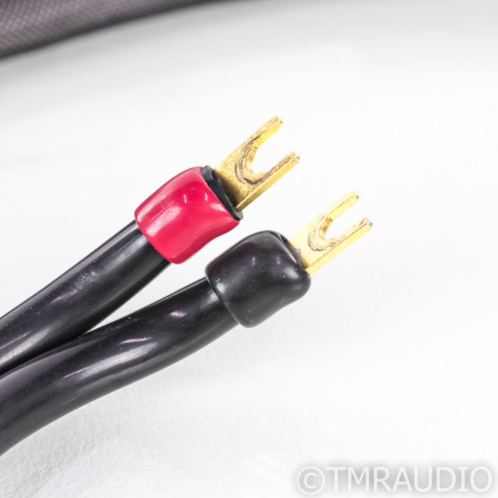 Transparent MusicWave Ultra Speaker Cables; 8ft Pair