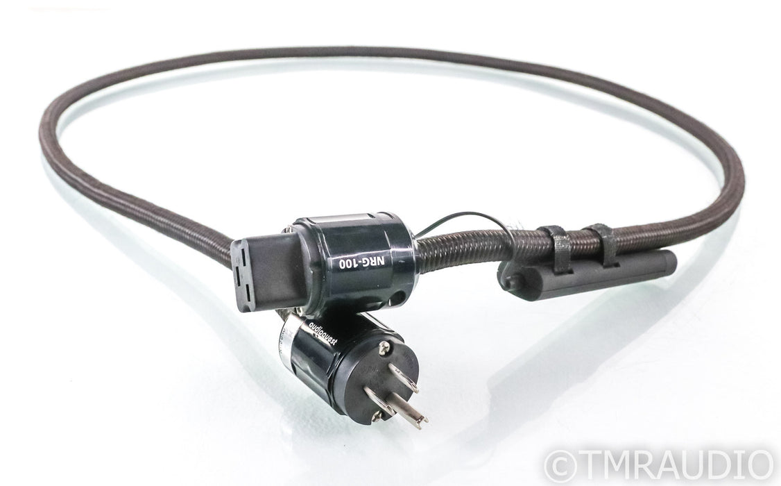 AudioQuest NRG 100 Power Cable; 6ft AC Cord; NRG-100; 72v DBS; C19